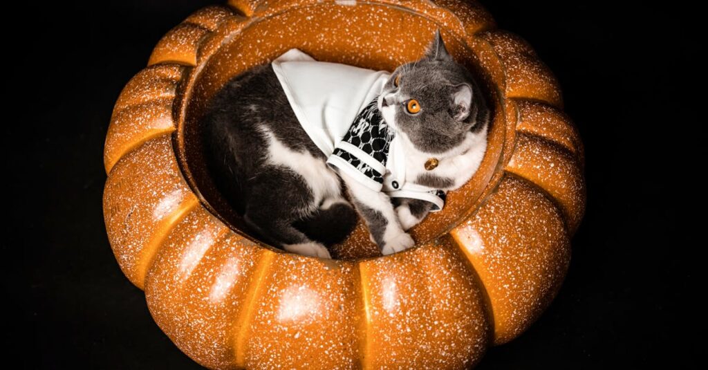 サンマルクカフェの2025年限定黒猫クロワッサンと魔女風パフェ