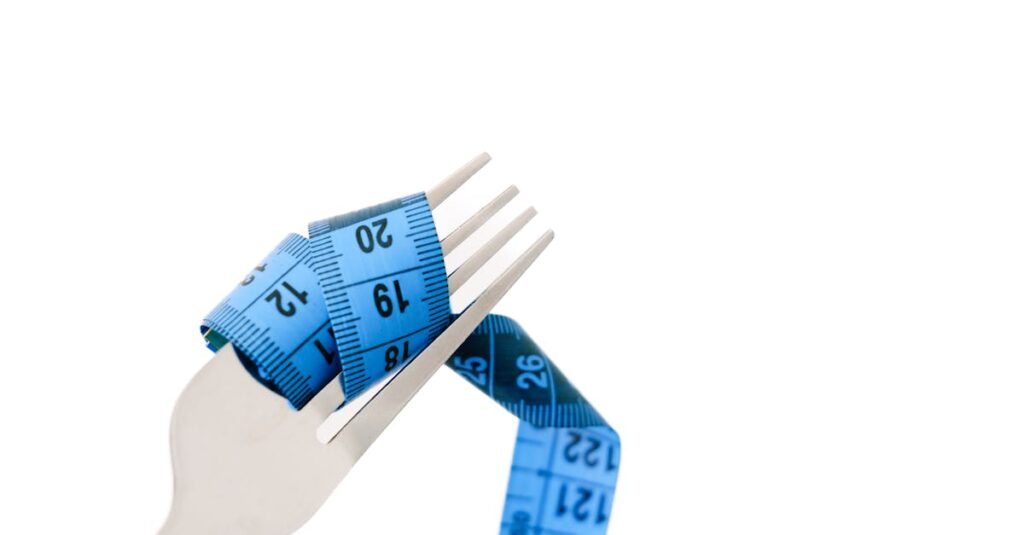 ブラックフライデーで価格履歴ツールを使って最安値を見極める様子