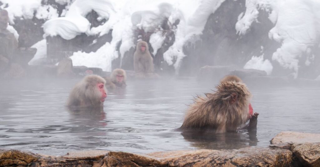 年末年始でも混雑を避けて楽しめる日本の静かな温泉地