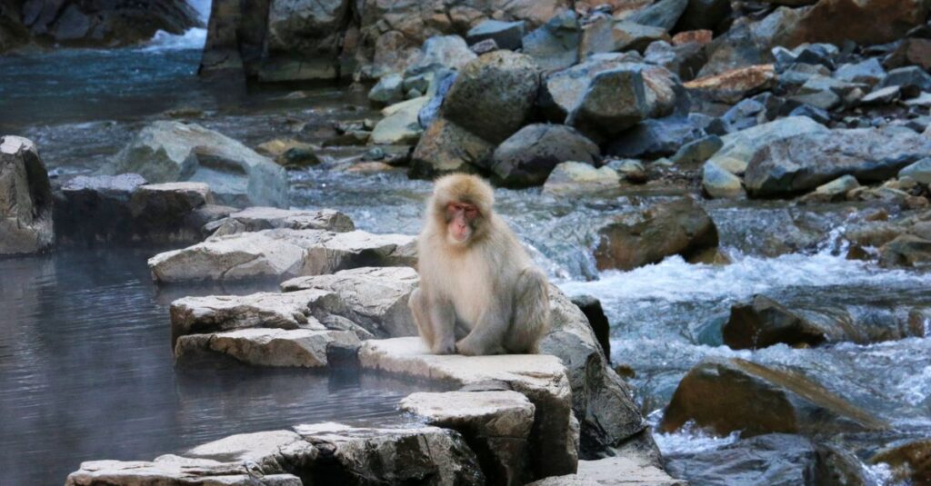 年末年始におすすめの温泉地を紹介する日本の冬の風景イメージ