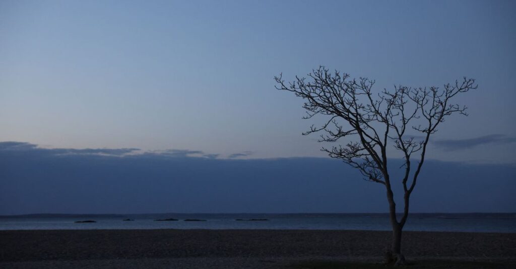 りんくうビーチから望むセントレア方面の夜景
