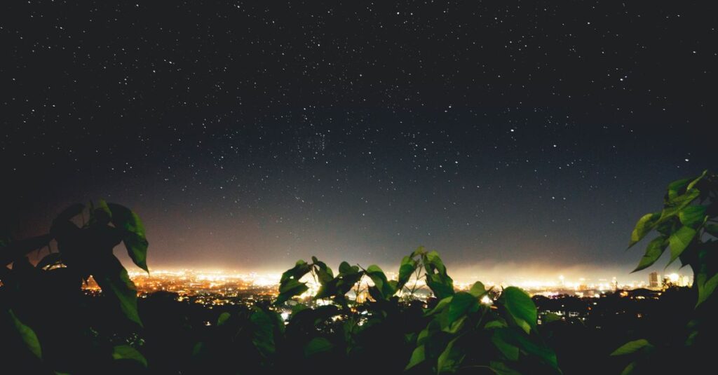 三好丘緑地から見える愛知県の夜景