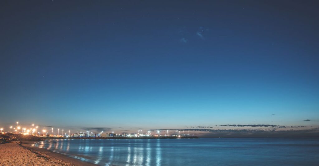 りんくうビーチから望むセントレア方面の夜景