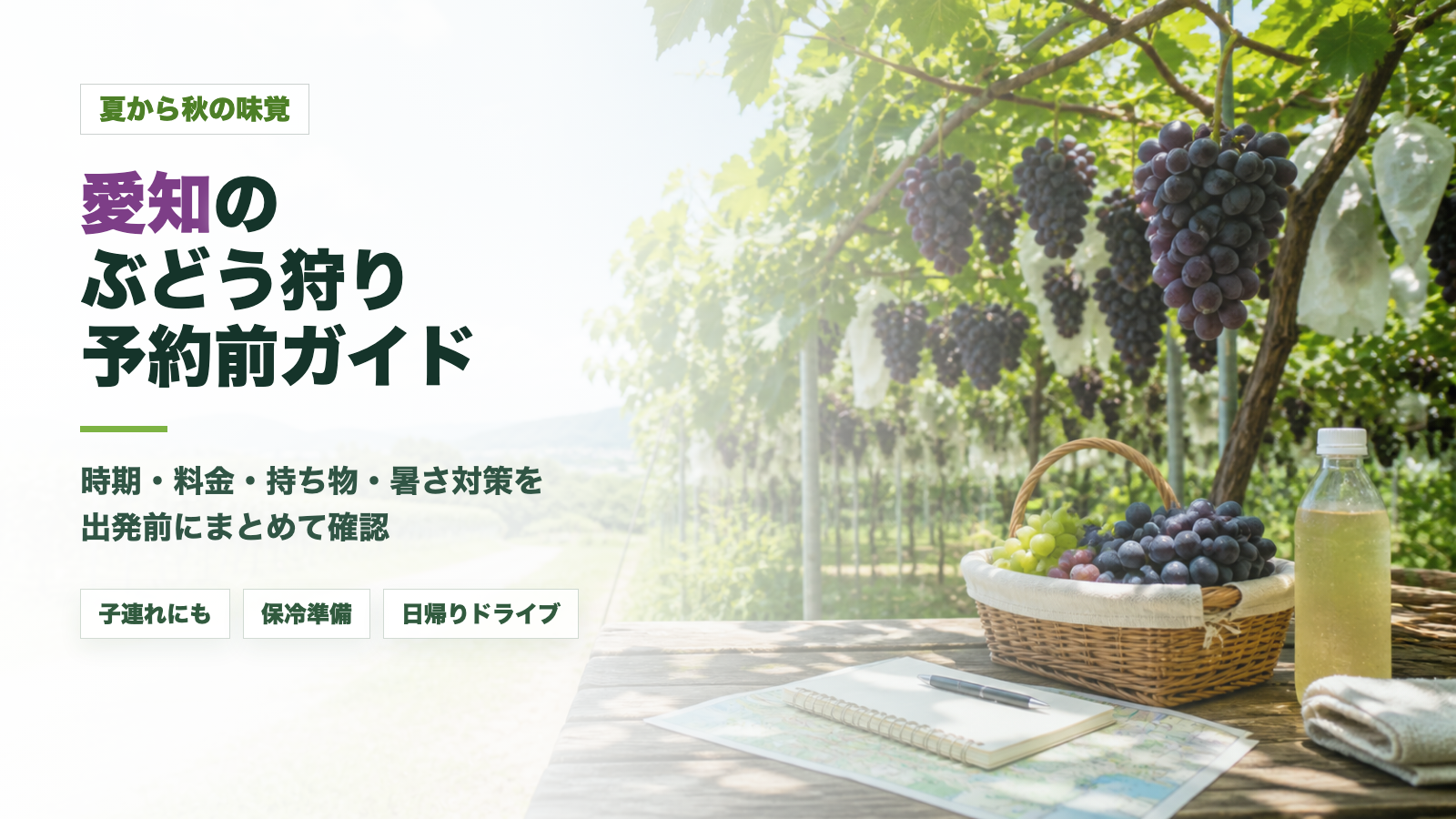 愛知のぶどう狩り夏休み計画をイメージしたぶどう畑と持ち物の文字入りアイキャッチ画像